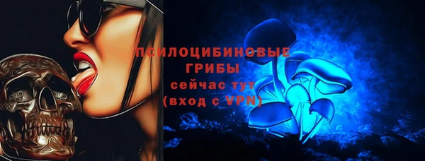 мяу мяу мука Магадан