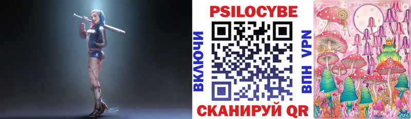 Псилоцибиновые грибы Cubensis  Купить  Звенигород 